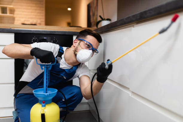 Best Cockroach Control Services  in Rotan, TX