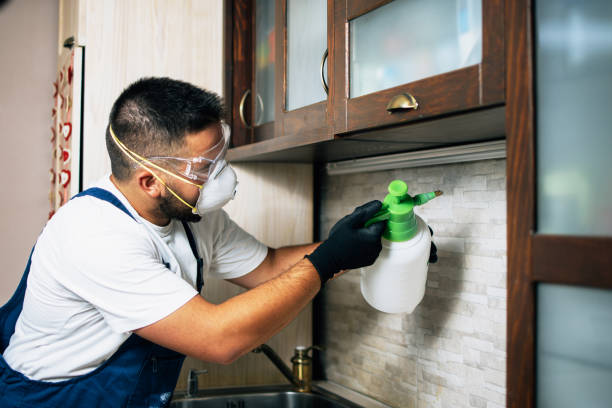 Best Wildlife Control Services  in Rotan, TX