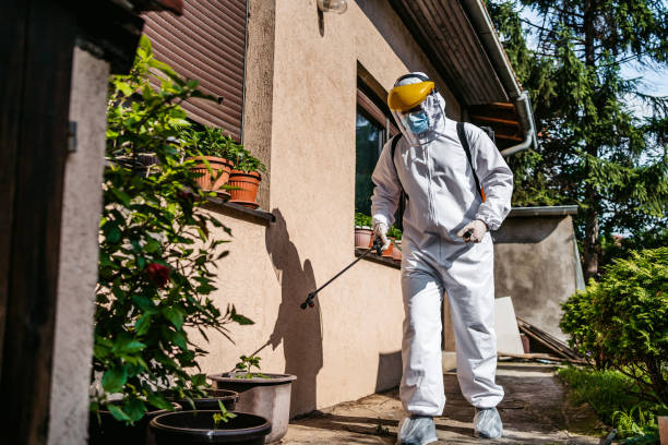 Best Local Pest Control Services  in Rotan, TX