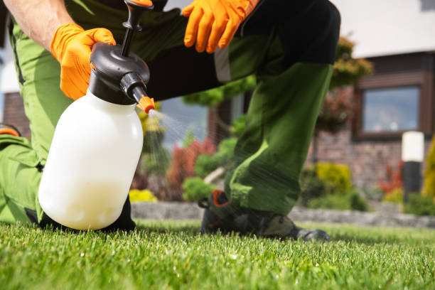 Best Pest Inspection Near Me  in Rotan, TX