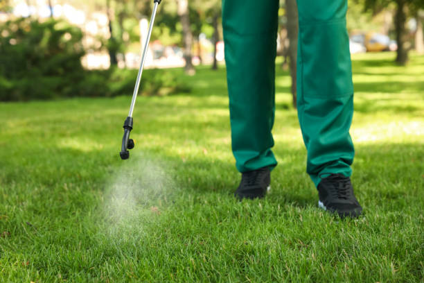 Best Best Pest Control Companies  in Rotan, TX