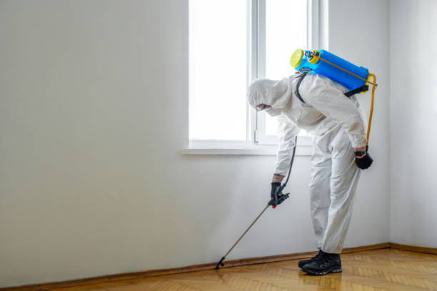 Best Flea Control Services  in Rotan, TX