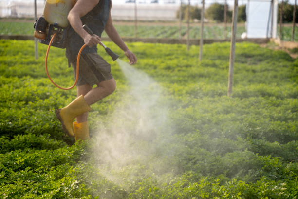 Best Commercial Pest Control Services  in Rotan, TX