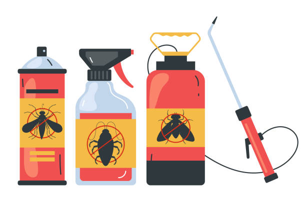 Best Bed Bug Extermination  in Rotan, TX
