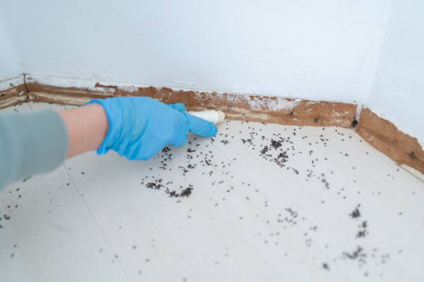 Rotan, TX Pest Control Company
